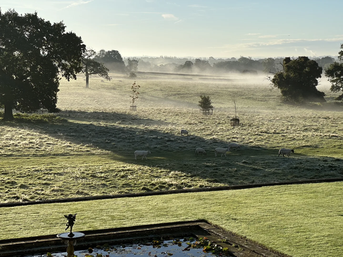 Sheep grazing in frosty, misty parkland seen from above the garden pool