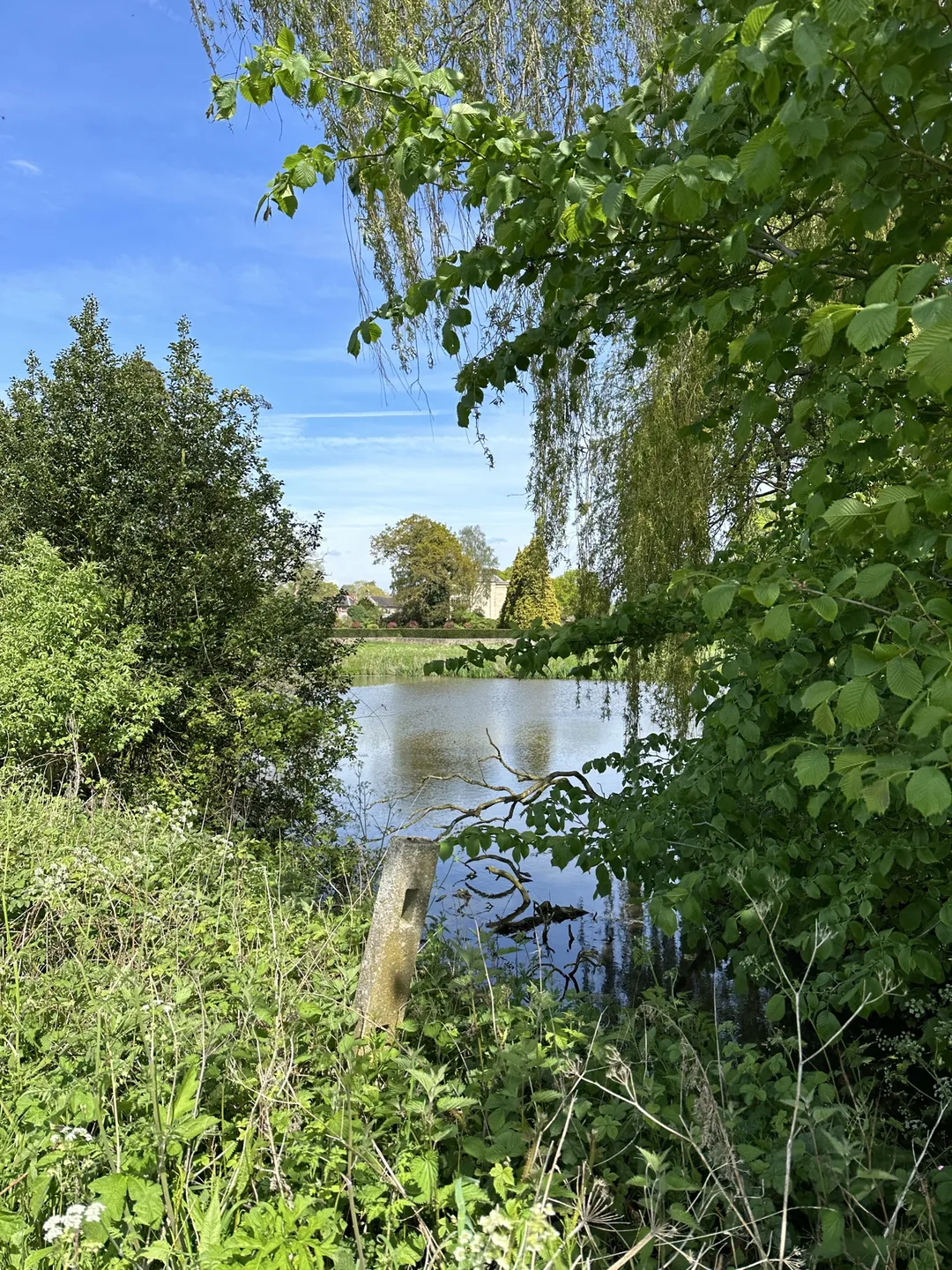 Barton Park grounds